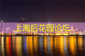 美丽的茶艺表演，来自上海茶庄